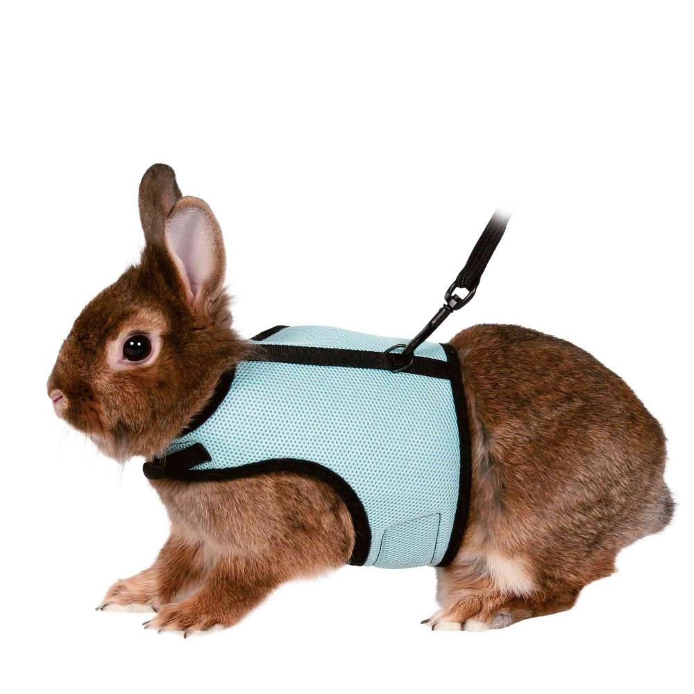Harnais doux avec laisse 1,2 m pour lapins nains couleur aléatoire - Image 2