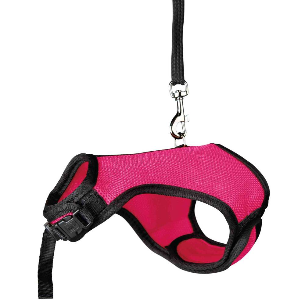 Harnais doux avec laisse 1,2 m pour lapins nains couleur aléatoire - Image 3