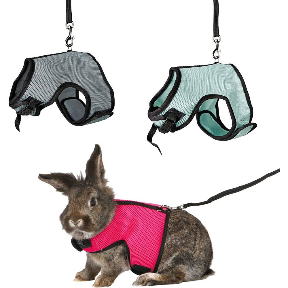 Harnais doux avec laisse 1,2 m pour lapins nains couleur aléatoire - Image 1