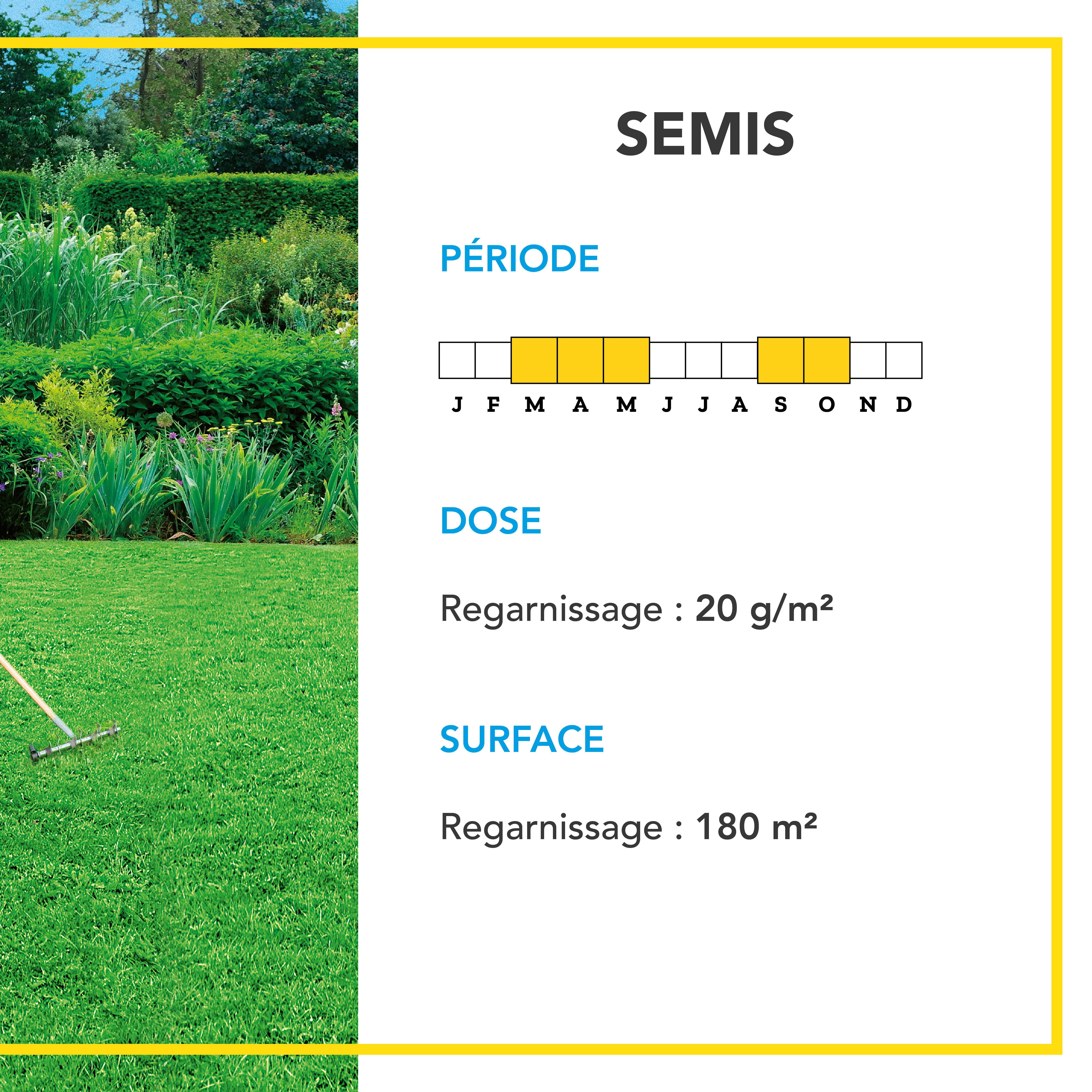 Soin Rénovateur Redensifiant - Redensifie et Rajeunit le Gazon - Germe Très Rapidement - Semences avec Enrobage - 3KG - BARENBRUG - Image 4