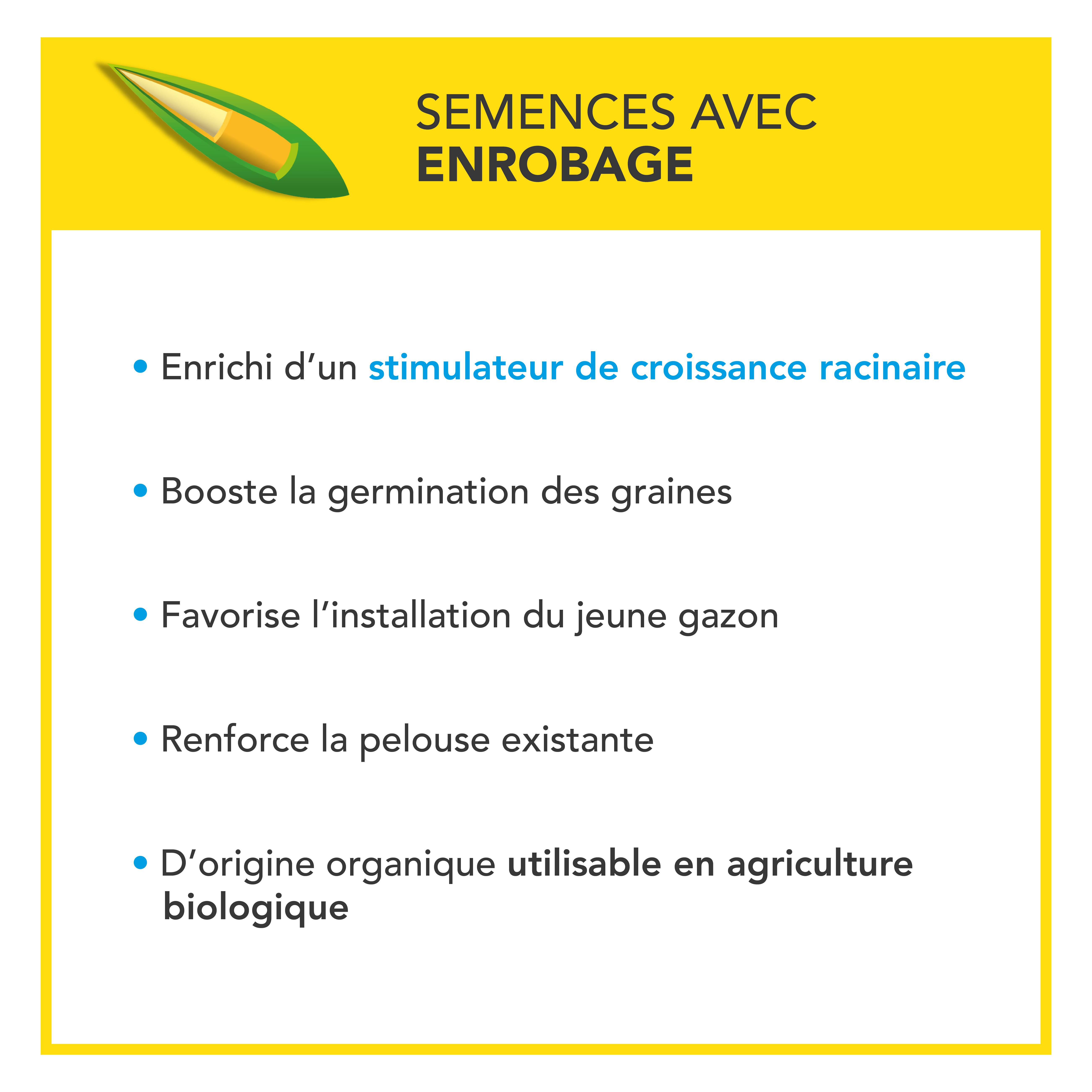 Soin Rénovateur Redensifiant - Redensifie et Rajeunit le Gazon - Germe Très Rapidement - Semences avec Enrobage - 3KG - BARENBRUG - Image 5
