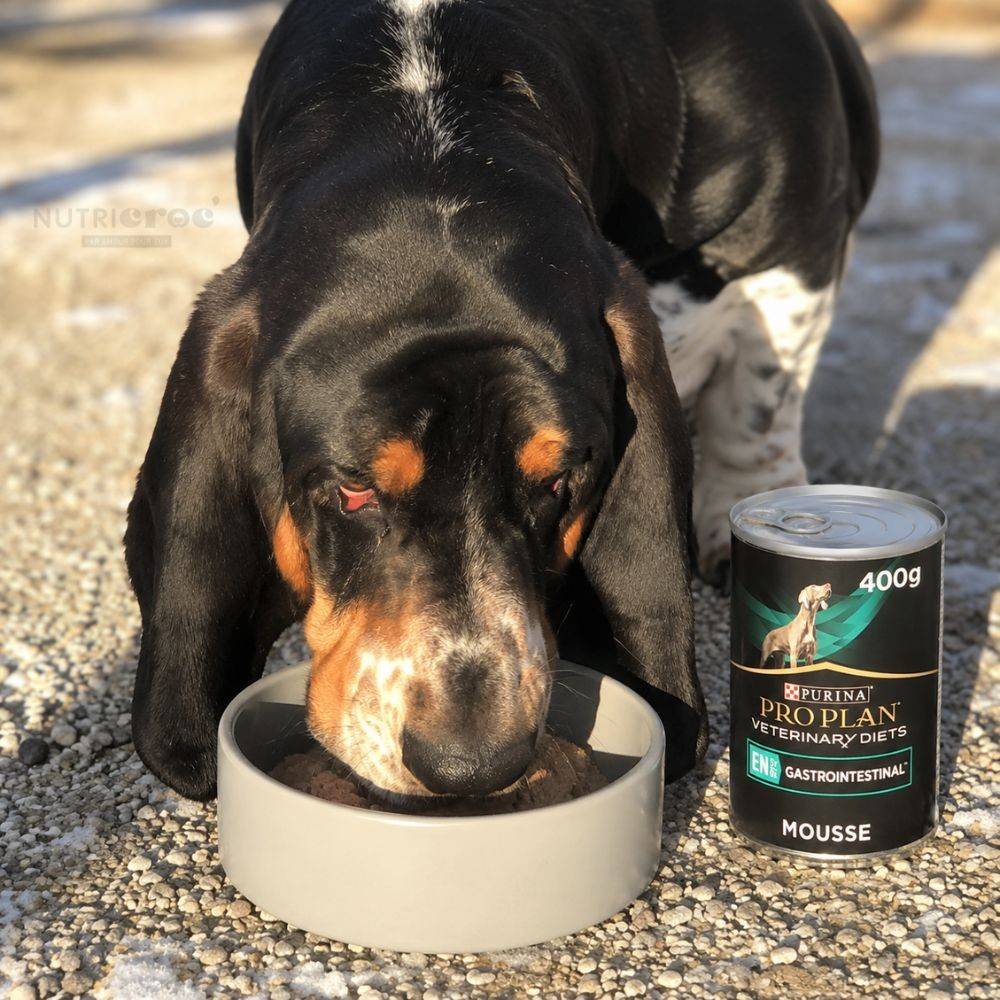 Pro Plan Veterinary Diets EN Gastrointestinal pour chiens - 12 boîtes de 400 g de mousse - Image 3
