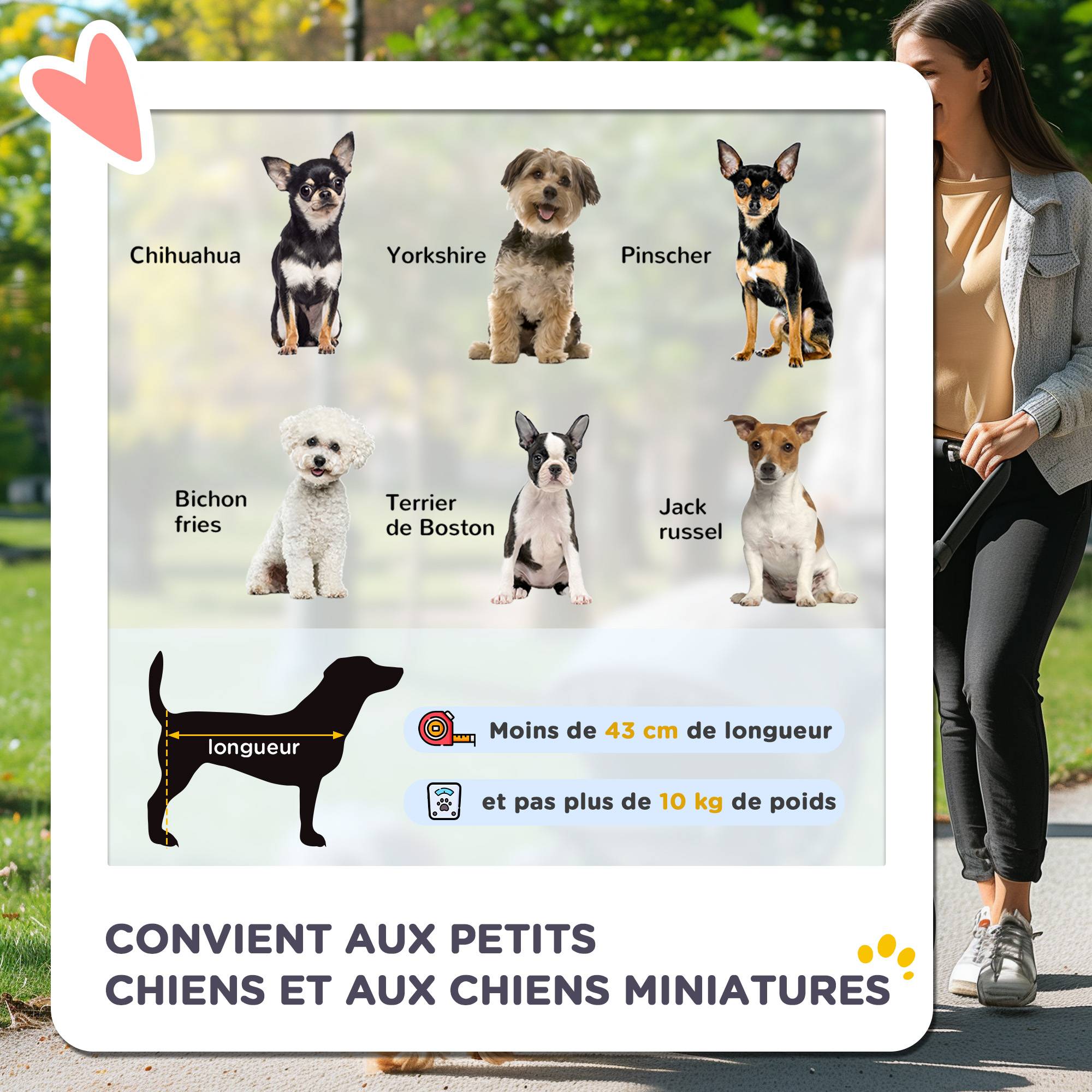 Poussette pour chien animaux de compagnie pliable 4 roues EVA guidon réglable panier 76,5 x 52 x 95 cm - Image 6