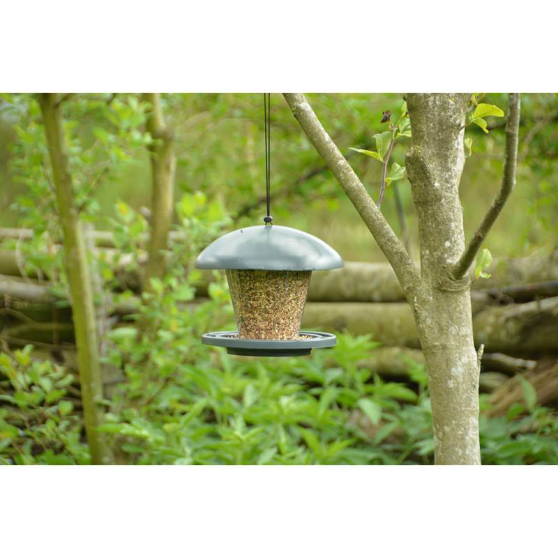 Esschert Design - Mangeoire oiseaux plastique à suspendre - Esschert Design - Image 2