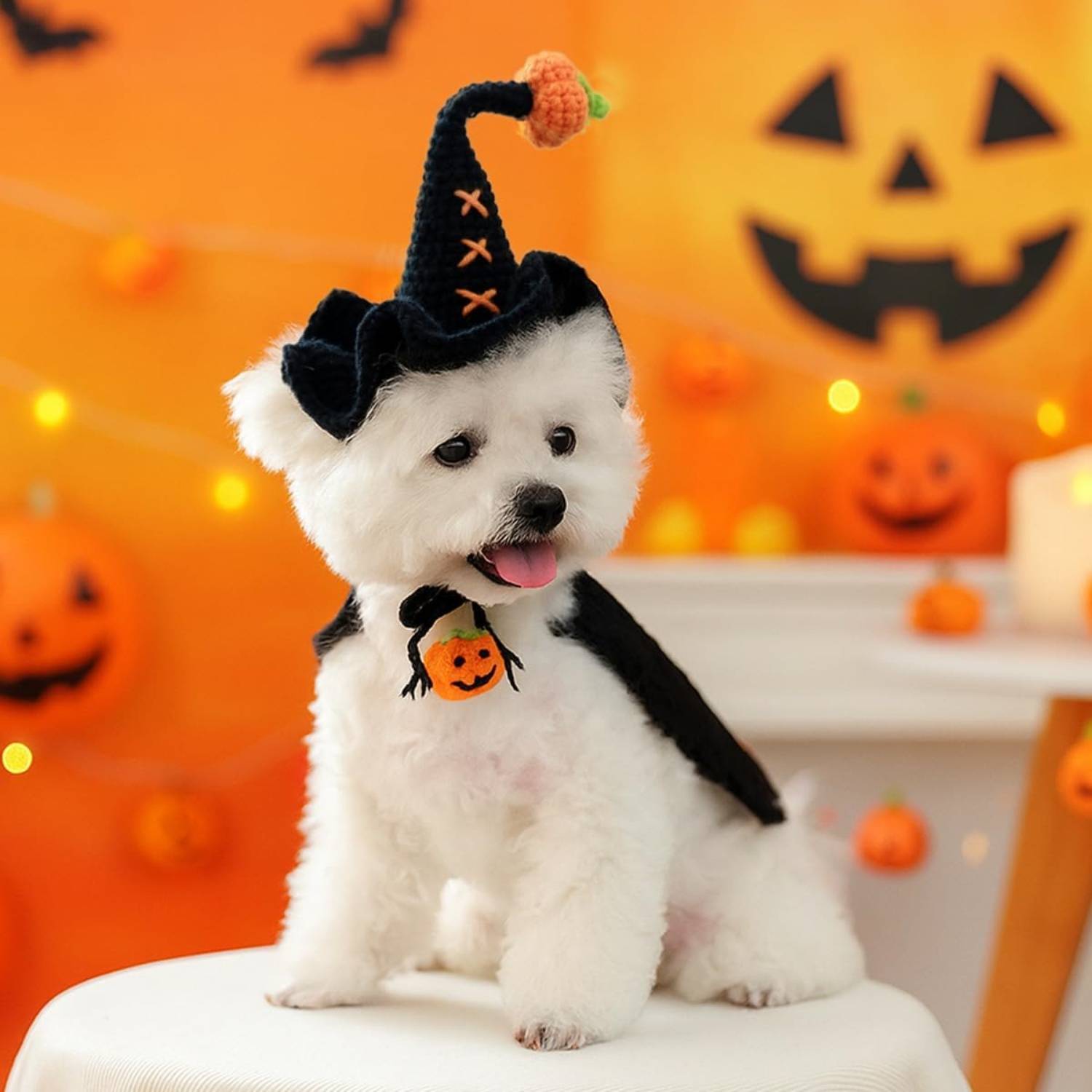 DtopbuyAge - Bonnet Halloween pour Chien et Chat DtopbuyAge - Image 5