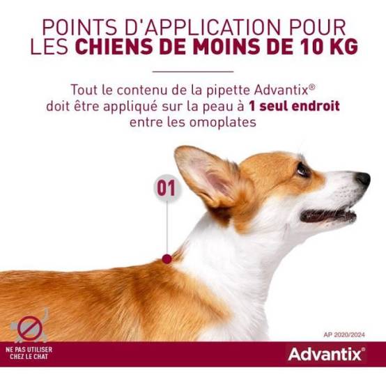 Advantix - ADVANTIX Chien Solution Antiparasitaire Tres Petite Race 1,5 a 4kg 6 pipettes - Image 2