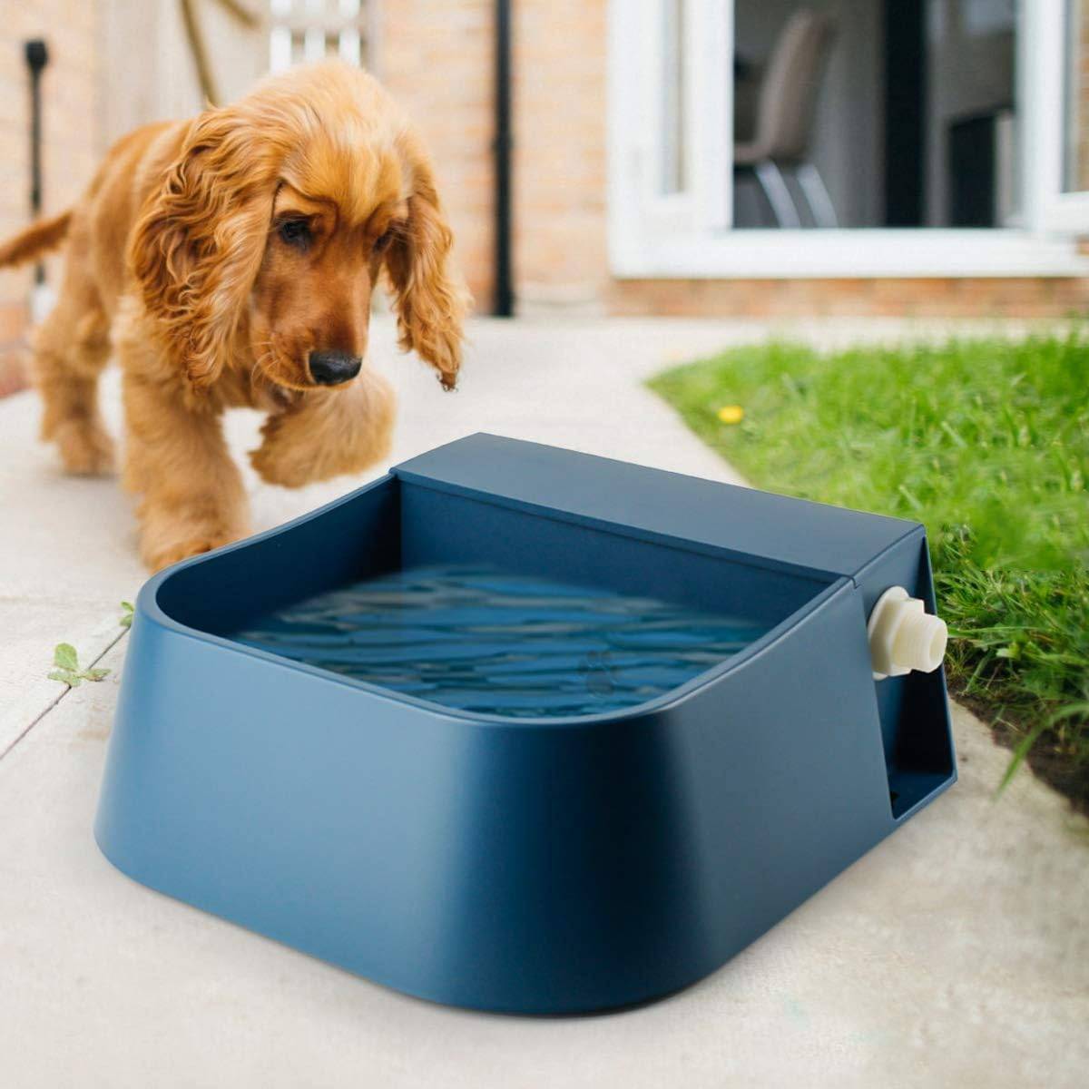 Distributeur automatique - Fontaine à eau automatique pour chien, réservoir d'eau pour animaux de compagnie-Lytech - Image 1