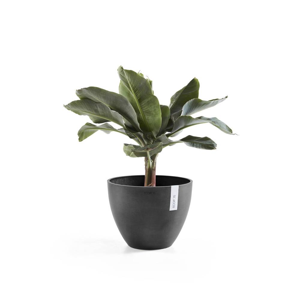 Ecopots - Pot Rond Antwerp 40 Gris Foncé - Ø 40 x H. 30 cm - 25 L ECOPOTS - Image 2
