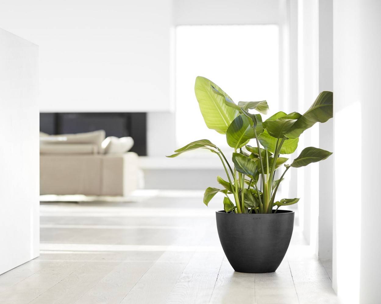 Ecopots - Pot Rond Antwerp 40 Gris Foncé - Ø 40 x H. 30 cm - 25 L ECOPOTS - Image 3