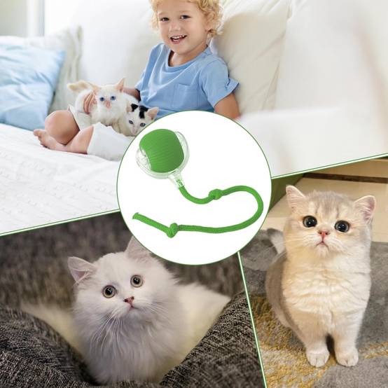 Balle interactive électrique pour chiens et chats - Image 3