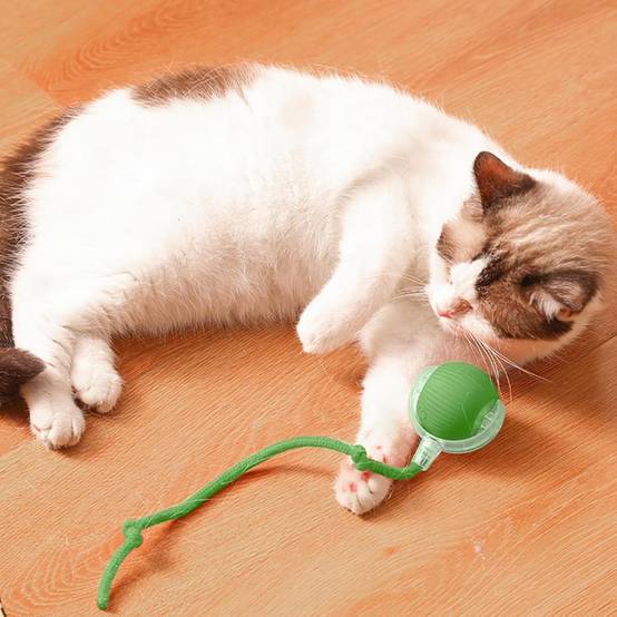 Balle interactive électrique pour chiens et chats - Image 2