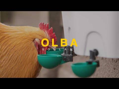 Olba - Abreuvoir pour poules 8 L AviAqua - Image 5