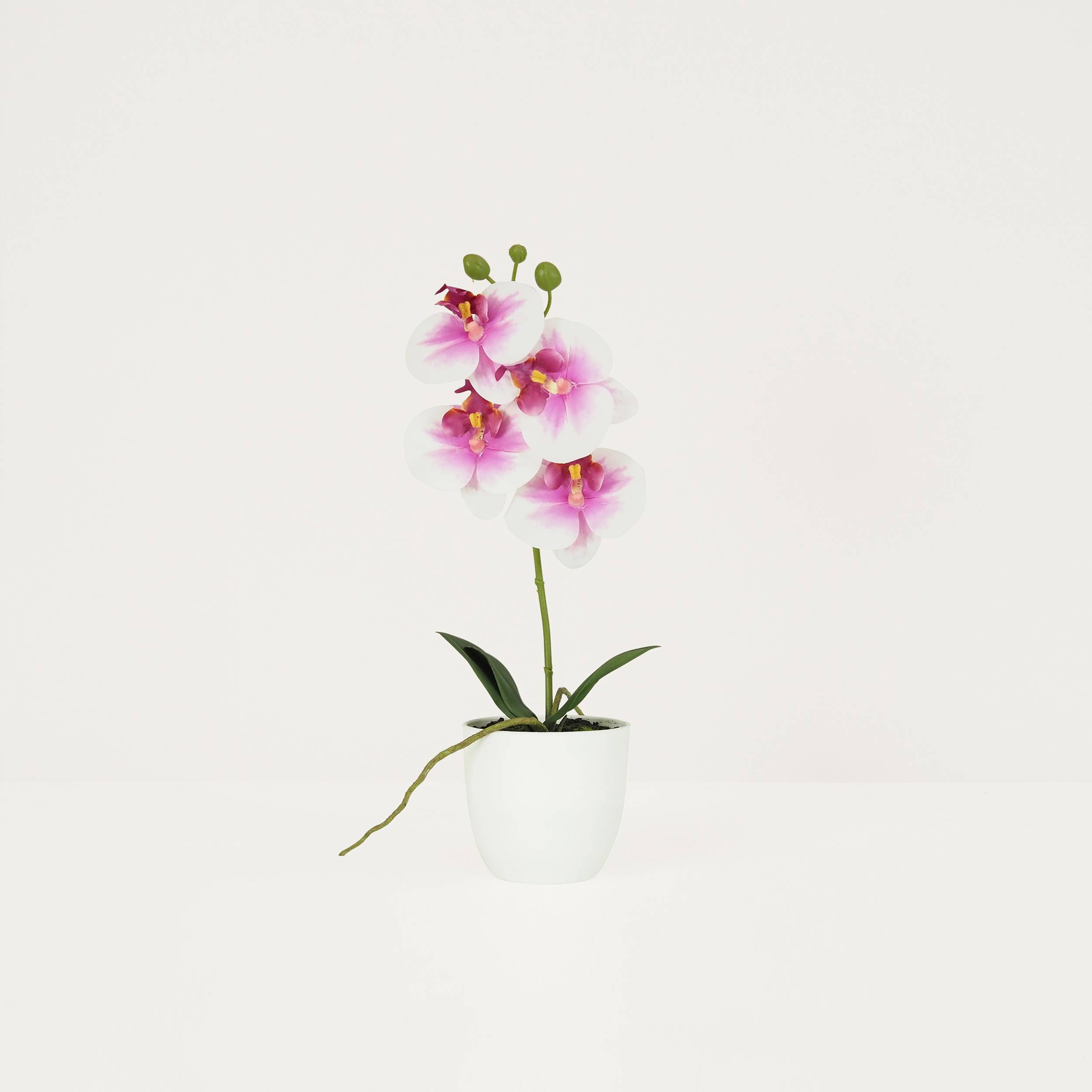 Ligne Deco - Orchidée artificielle blanc-fuchsia 35cm Ligne Déco - Image 1