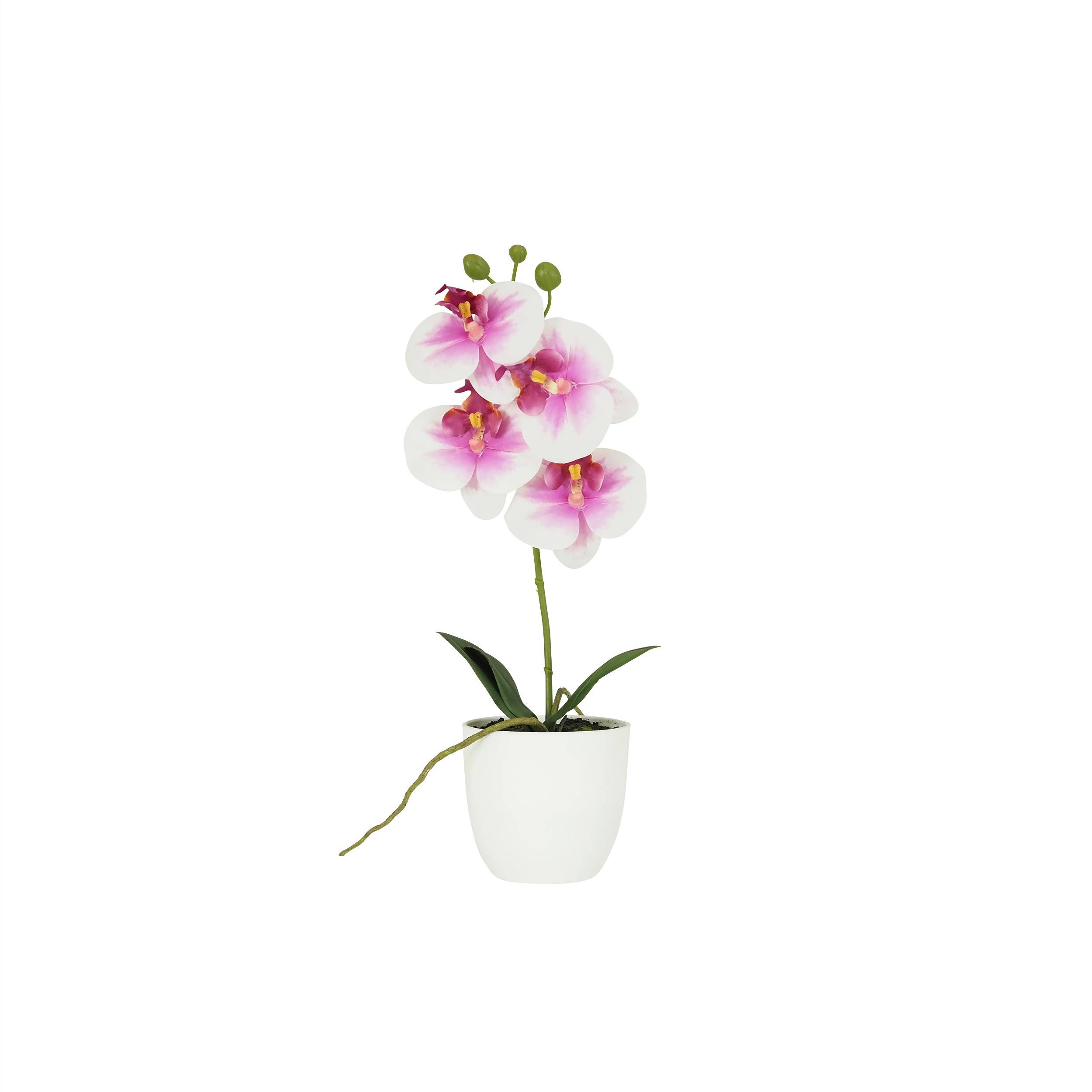 Ligne Deco - Orchidée artificielle blanc-fuchsia 35cm Ligne Déco - Image 2