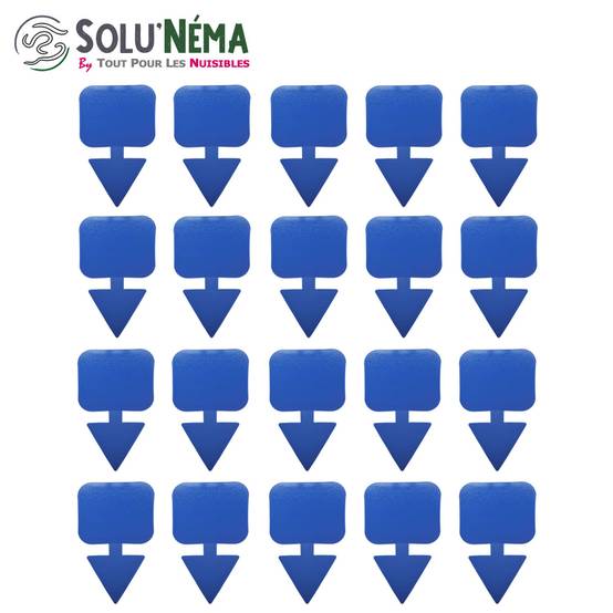Solunéma - Kit Complet Anti Thrips - 10 Millions Nématodes SF + Pulvérisateur 5L + 20 Pièges Bleus Collants XXL - Image 4