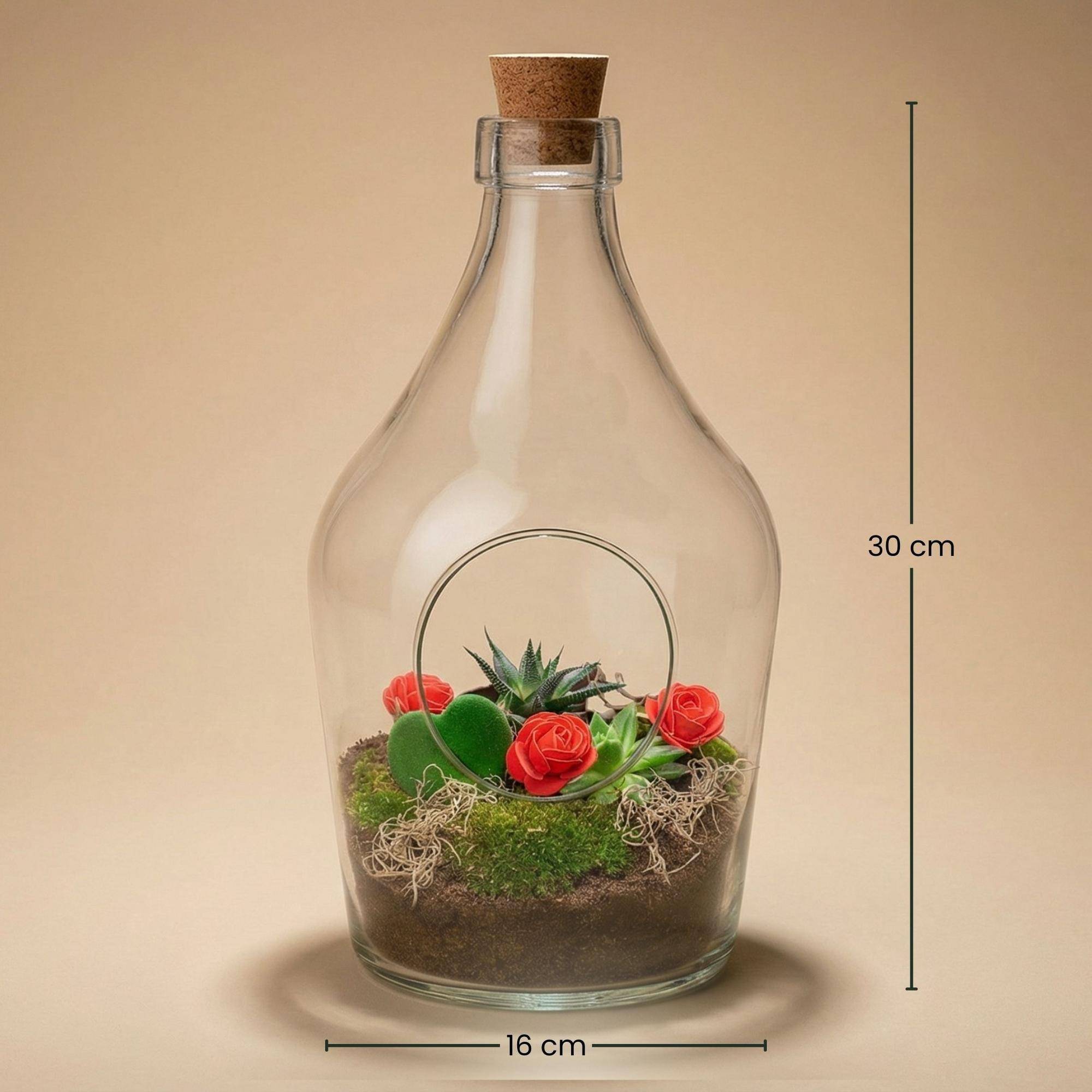 Terrarium à composer bouteille en verre recyclé - Ø16-H30cm - sans outils - Terrarium DIY - Image 2