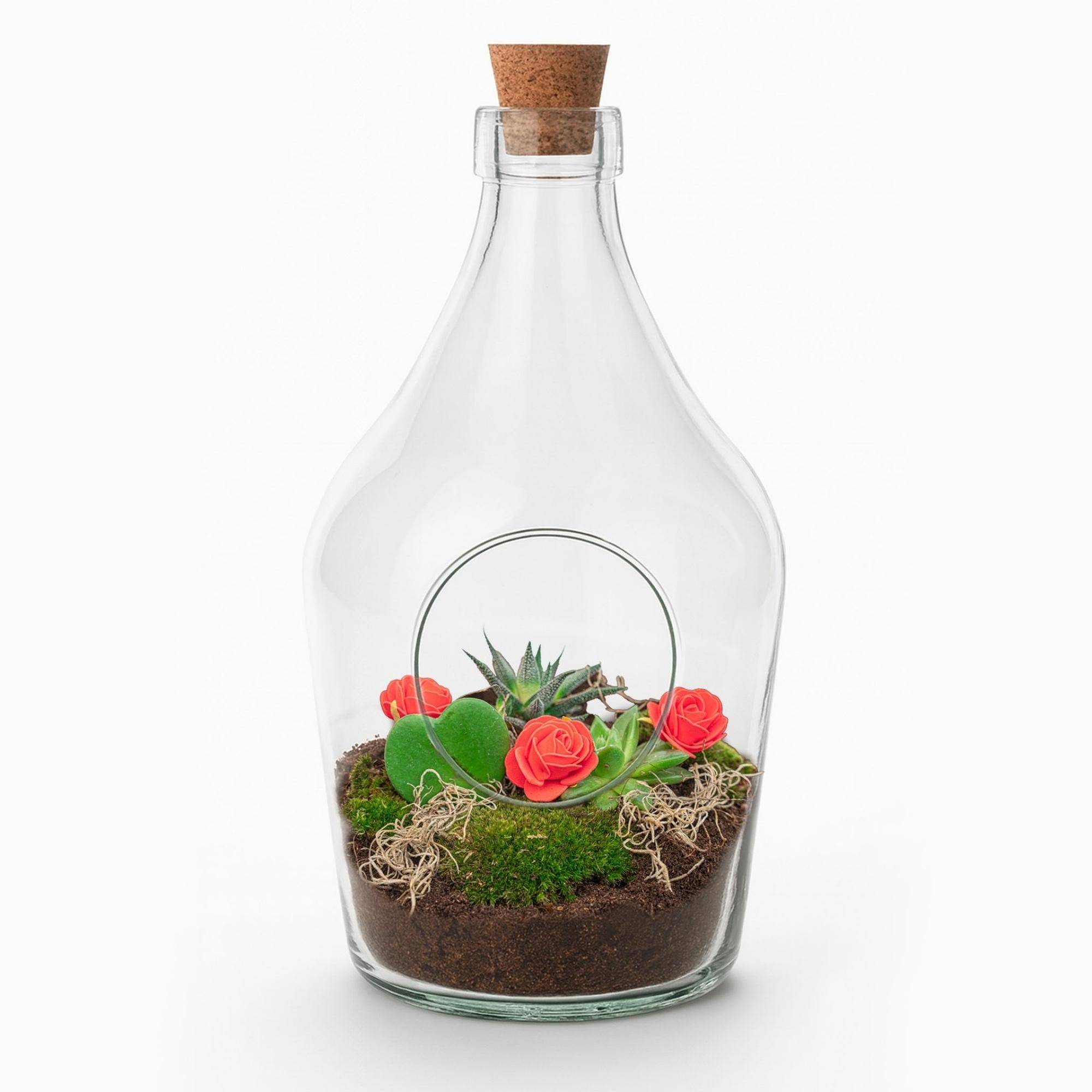 Terrarium à composer bouteille en verre recyclé - Ø16-H30cm - sans outils - Terrarium DIY - Image 7