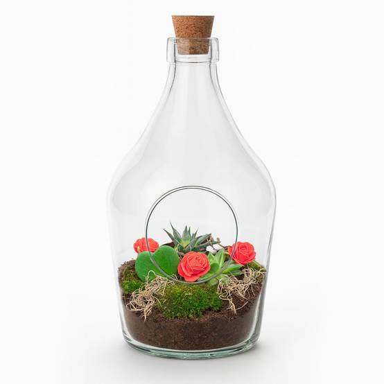 Terrarium à composer bouteille en verre recyclé - Ø16-H30cm - sans outils - Terrarium DIY - Image 1