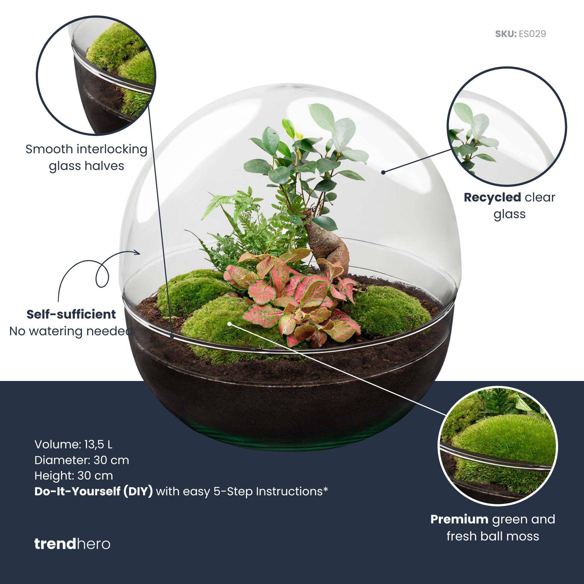 Kit Terrarium Diy - D30 H30cm - Image 2