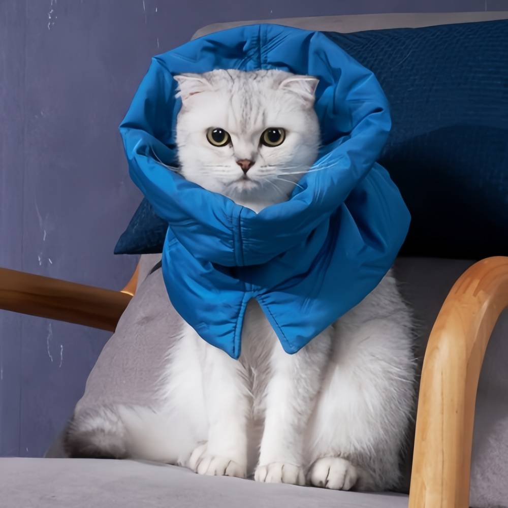 IntiMeg - Collier anti-lèchage pour chat Bleu foncé M IntiMeg - Image 6