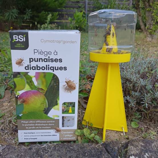 BSI - Cymatrap - Piège à punaises diaboliques avec recharges (8 semaines d'attractivit - Image 2