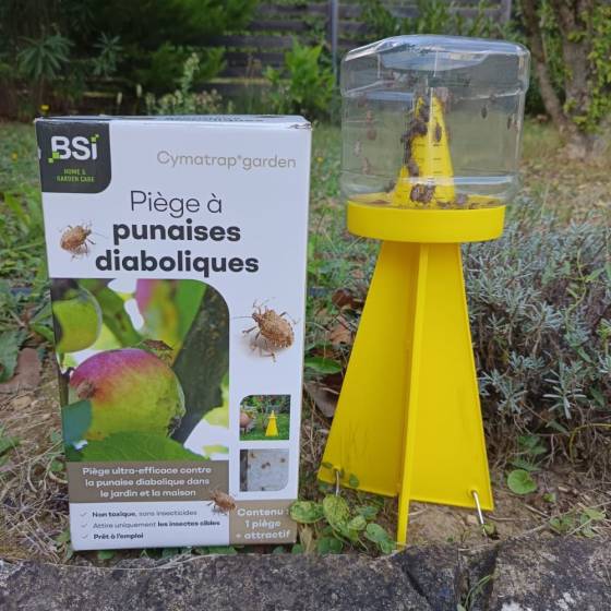 BSI - Cymatrap - Piège à punaises diaboliques avec recharges (8 semaines d'attractivit - Image 2