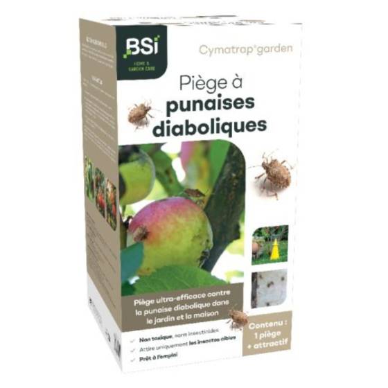 BSI - Cymatrap - Piège à punaises diaboliques avec recharges (8 semaines d'attractivit - Image 1