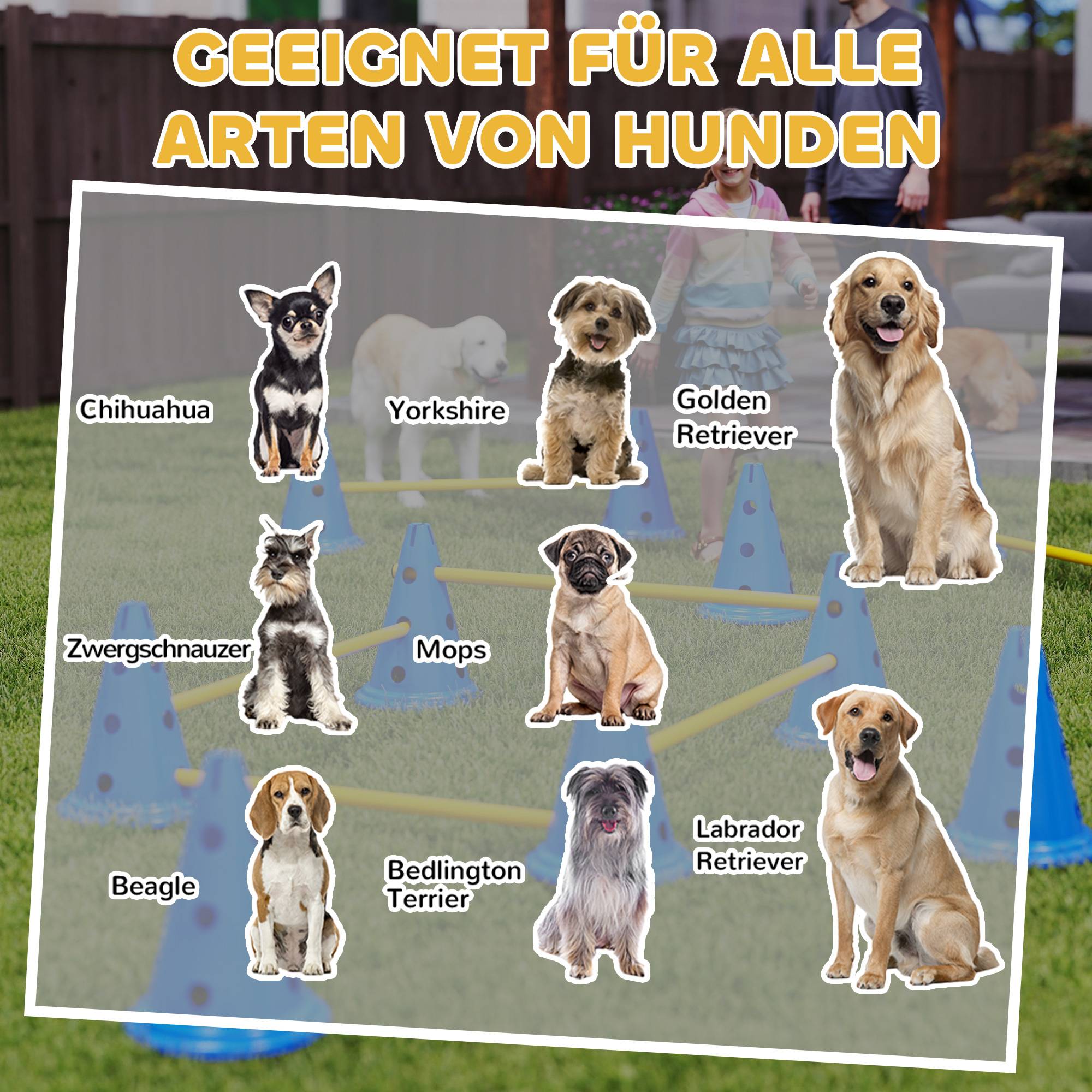 ComfortXL - Kit agilité chien 6 haies ABS 12 cônes hauteur réglable entraînement extérieur avec sac - ComfortXL Outdoor Living - Image 10