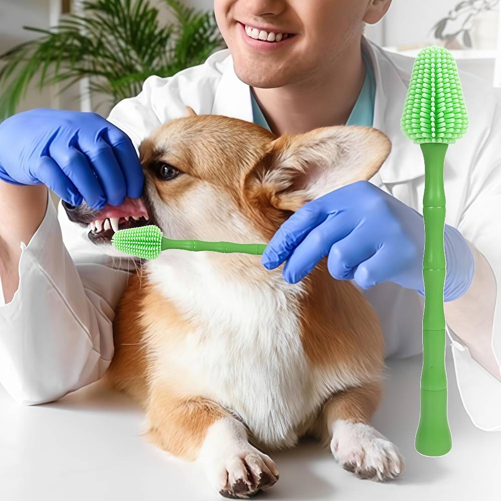 IntiMeg - Brosse à dents verte pour chien - IntiMeg - Image 4