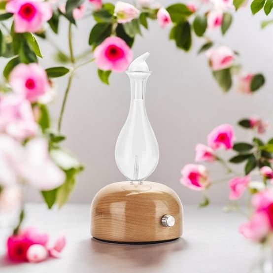 Zen'Arôme Diffuseur d'Huile Essentielle par Nébulisation Aurora - Diffuse à Froid - Idéal pour l'Aromathérapie - Puissance Ajustable - Image 1