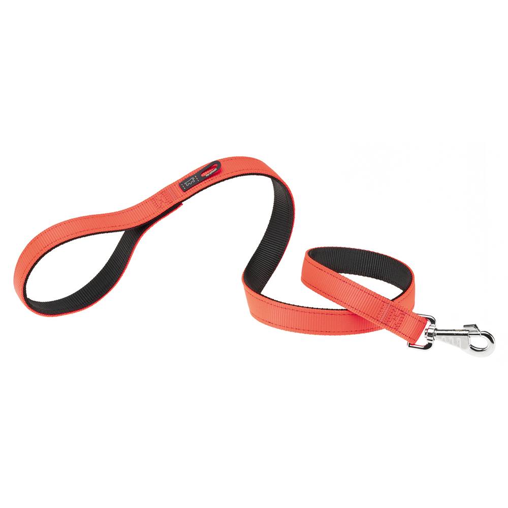 Ferplast - DUAL G15/110 COLOURS Laisse chien 15 mm x L 110 cm Orange - Image 1