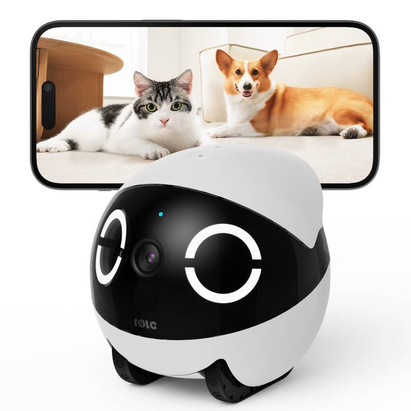 Enabot EBO ROLA Mini Caméra Robotique 2K pour Animaux - Image 2