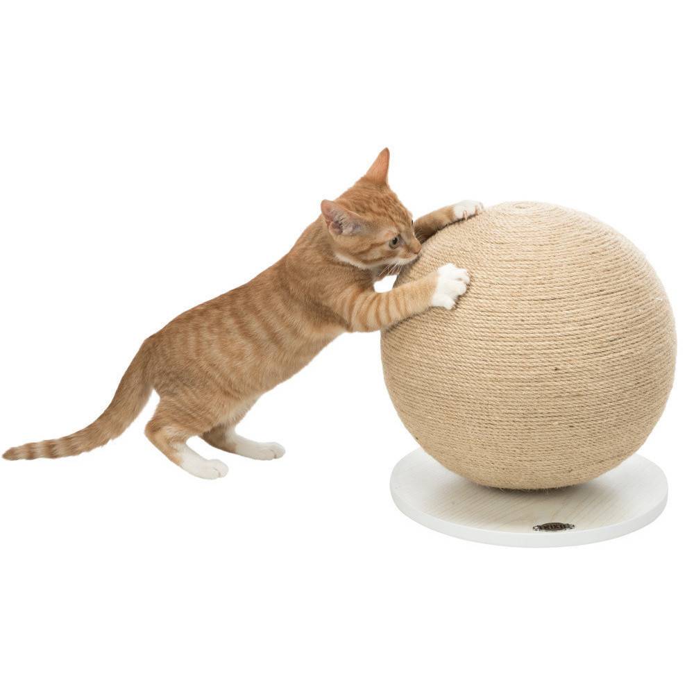 animallparadise - Griffoir boule ø 29 cm, forme rond  pour chat monté sur plateau. - Image 4
