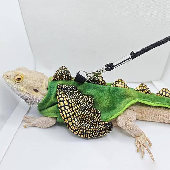 Harnais et laisse pour reptiles et petits animaux DtopbuyAge - Image 2