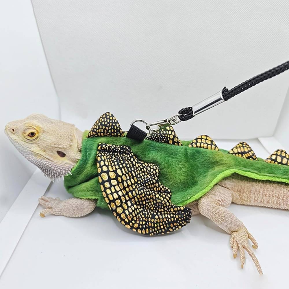 Harnais et laisse pour reptiles et petits animaux DtopbuyAge - Image 2
