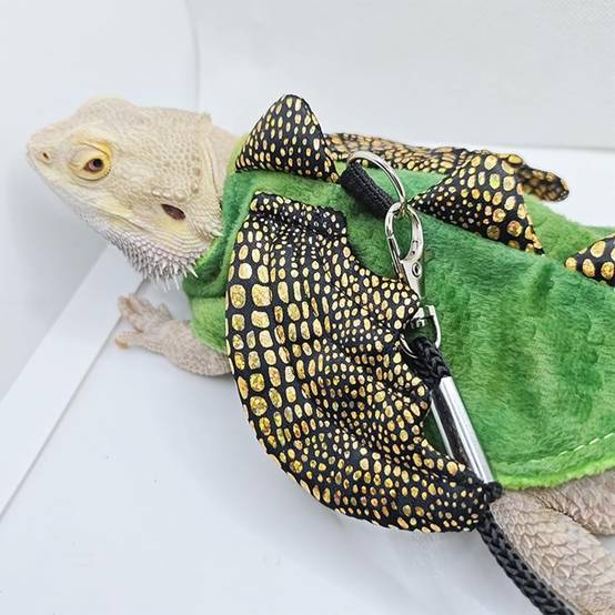 Harnais et laisse pour reptiles et petits animaux DtopbuyAge - Image 3