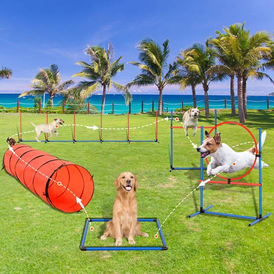 VEVOR Équipements agilité chien, 5 pièces, haies, 6 poteaux, tunnel. Anneau saut, sifflet. - Image 8