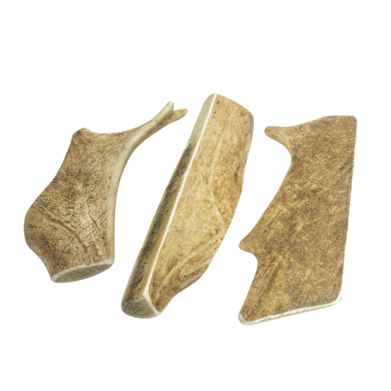 Bois de Daim pour Chien L 16-19 cm - Image 3