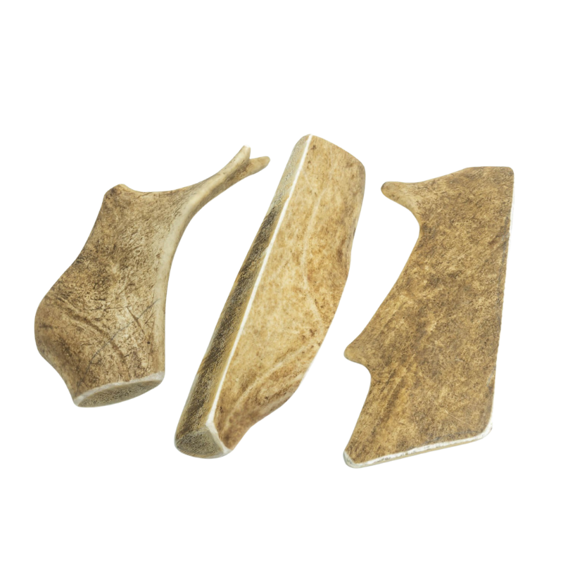 Bois de Daim pour Chien L 16-19 cm - Image 3