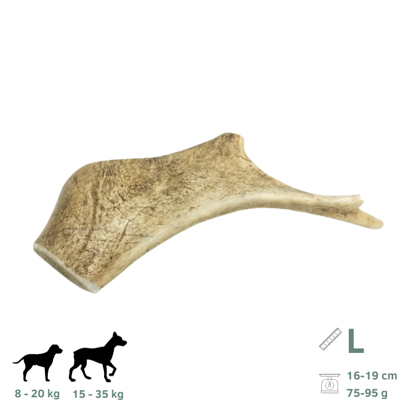 Bois de Daim pour Chien L 16-19 cm - Image 1