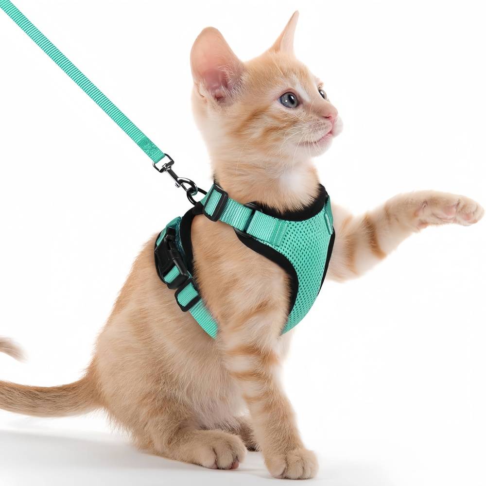 Harnais et laisse réfléchissants pour chat XS IntiMeg - Image 1