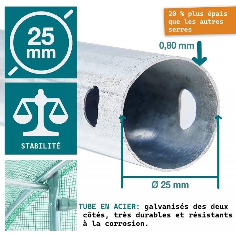 Serre tunnel de jardin 3x6m en aluminium stable Serre avec ancrage au sol Porte et fenêtres enroulables pour jardin - Image 3