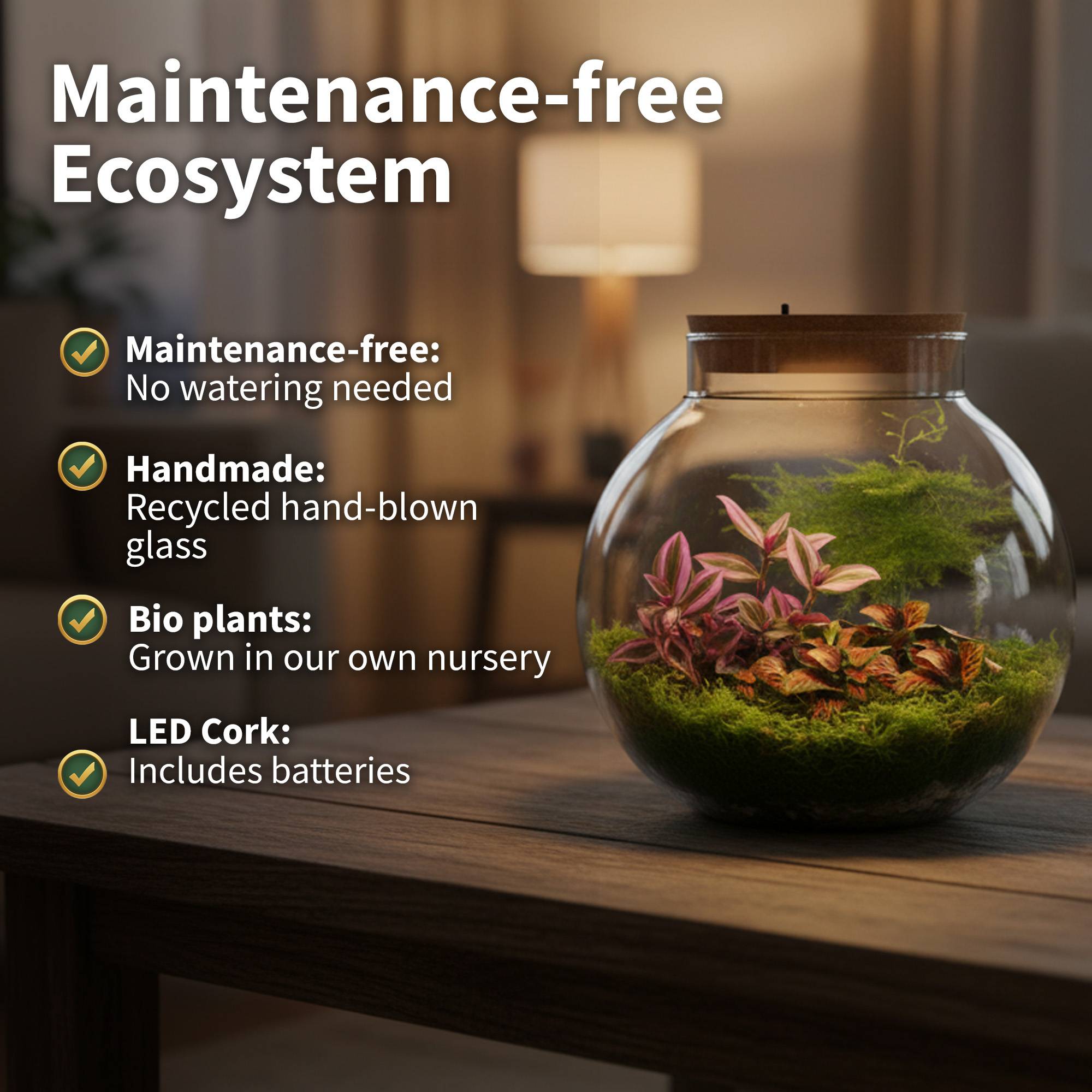 0 - Terrarium Grand - Ø25 cm - Écosystème - Verre - DIY - Image 3