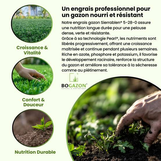 Engrais Gazon Sierrablen® Plus 5-28-0 25KG Bogazon® | Nutrition Longue Durée pour Pelouses | Libération Contrôlée & Croissance Maîtrisée - Image 3