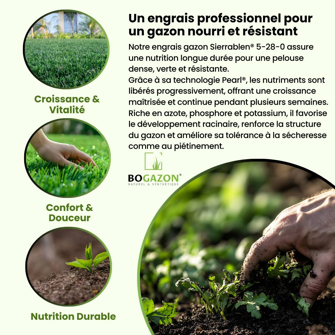 Engrais Gazon Sierrablen® Plus 5-28-0 25KG Bogazon® | Nutrition Longue Durée pour Pelouses | Libération Contrôlée & Croissance Maîtrisée - Image 3