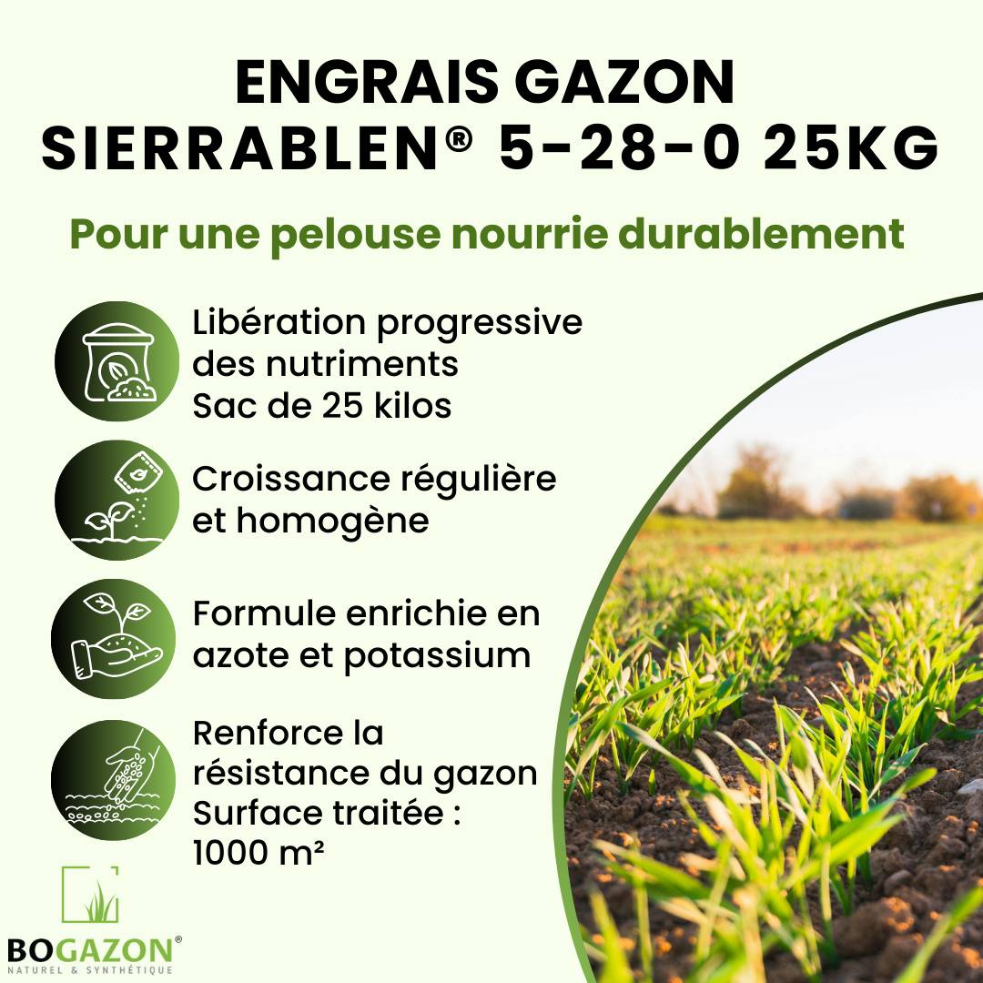 Engrais Gazon Sierrablen® Plus 5-28-0 25KG Bogazon® | Nutrition Longue Durée pour Pelouses | Libération Contrôlée & Croissance Maîtrisée - Image 2
