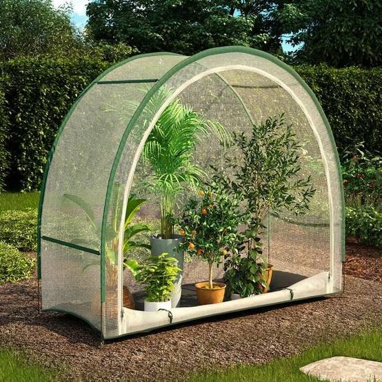 Serre d'hivernage demi-lune 200x80x170cm PE - TERRE JARDIN - Image 6