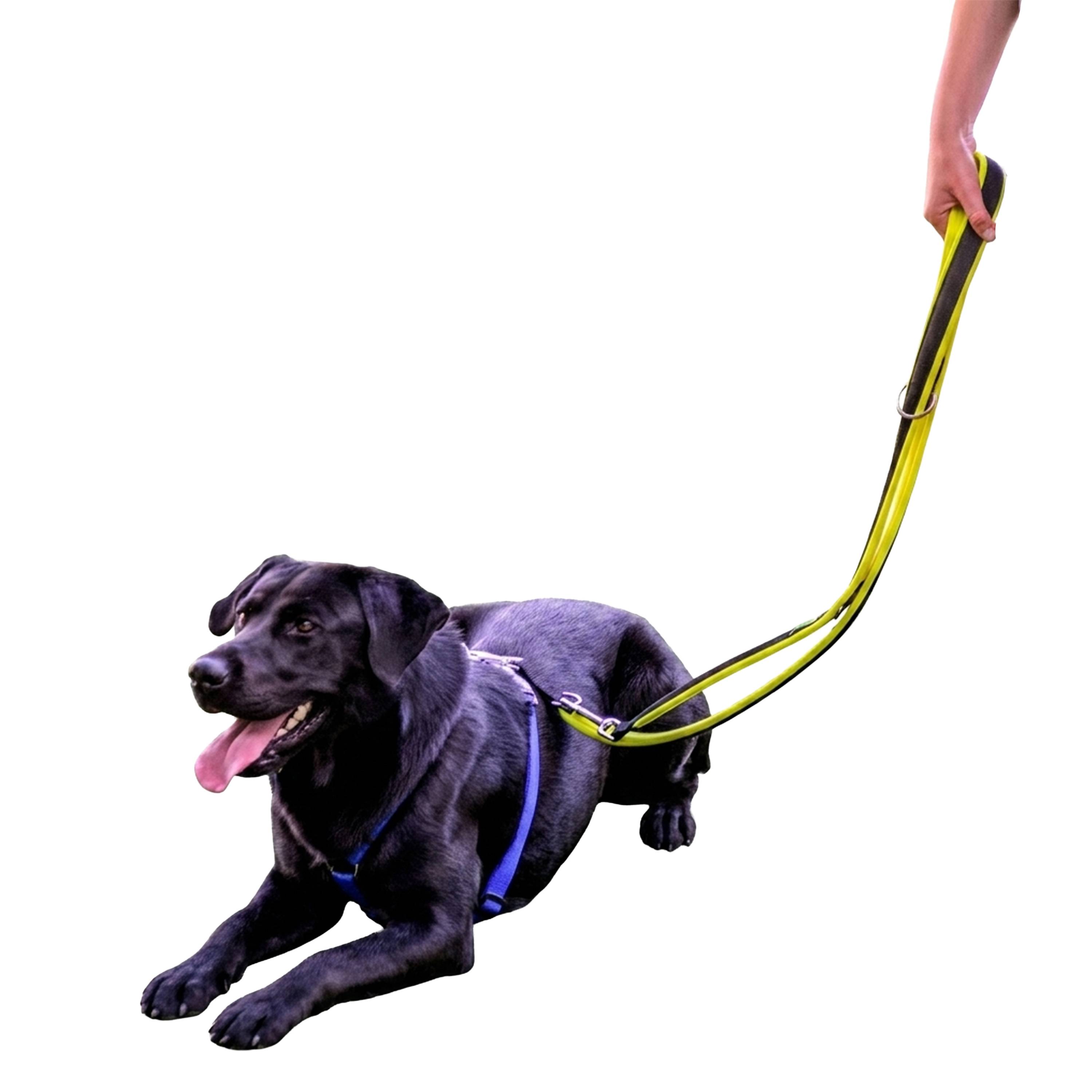 Ferplast - Ferplast Laisse pour chien Ferplast ERGOFLUO, Laisse de dressage pour chien taille grande, Poignée Rembourrée, Mousqueton en métal. Longueur réglable. - Image 5