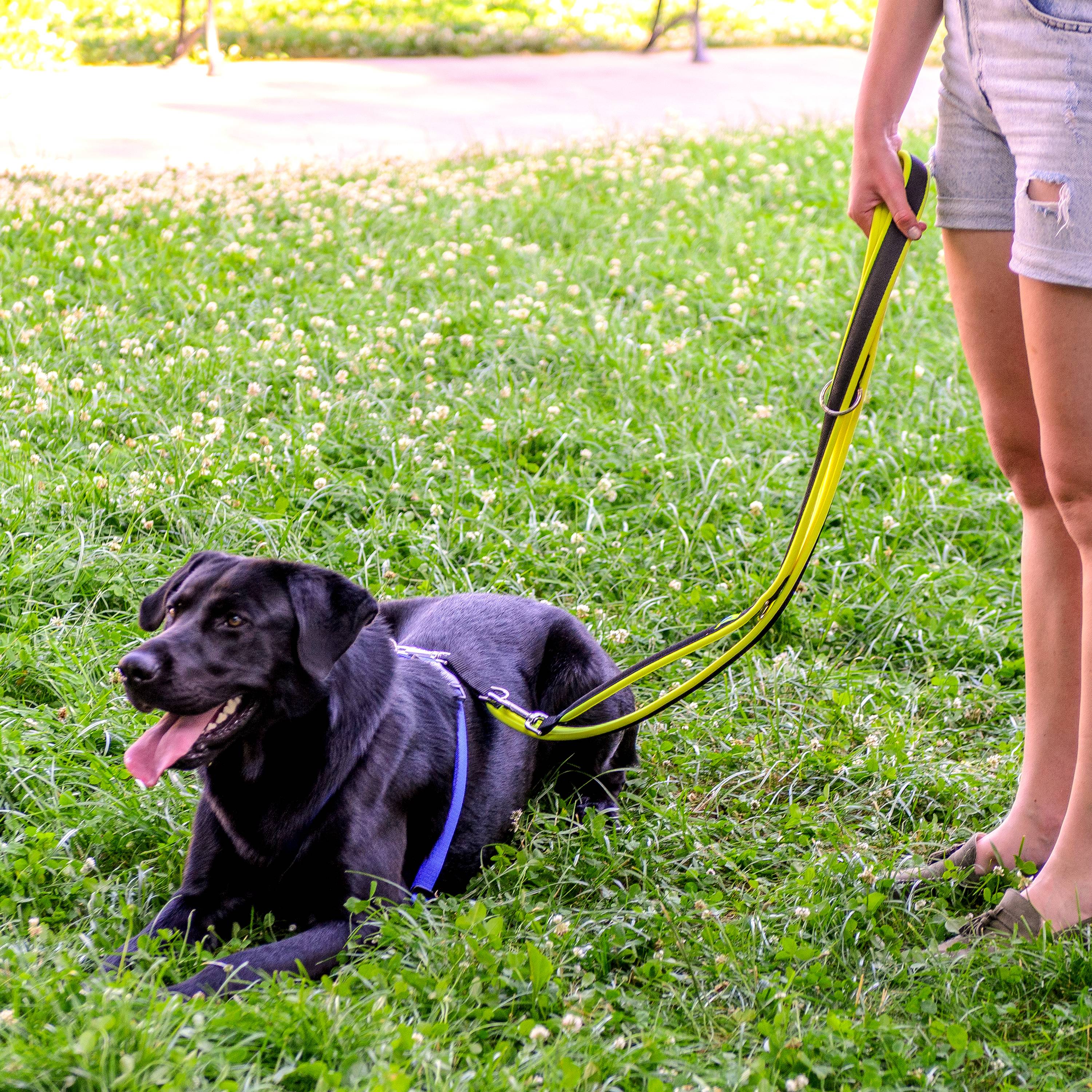 Ferplast - Ferplast Laisse pour chien Ferplast ERGOFLUO, Laisse de dressage pour chien taille grande, Poignée Rembourrée, Mousqueton en métal. Longueur réglable. - Image 3