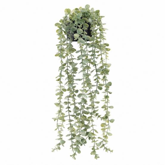 Plante Artificielle Suspendue Eucalyptus Pot Noir Décoration Intérieure Chambre Salle de Bain - Image 1